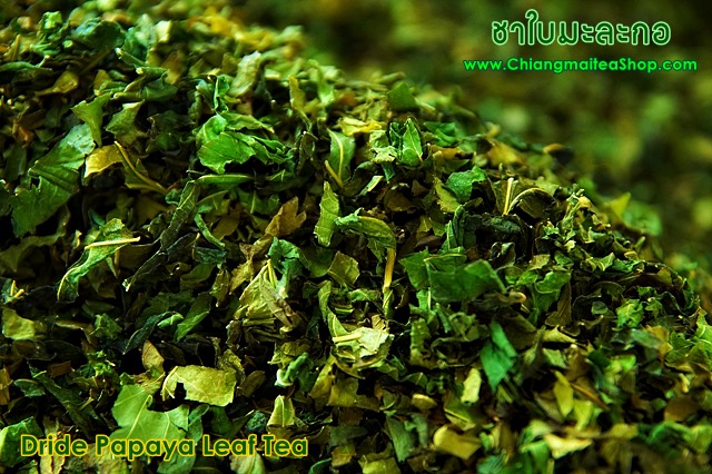 ชาใบมะละกอ อบแห้ง (Papaya leave tea) 1Kg.