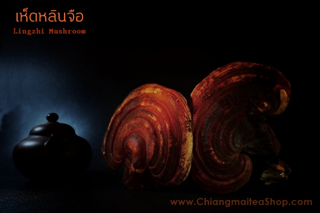 เห็ดหลินจืออบแห้ง (ชนิดเต็มดอก) 1 Kg.