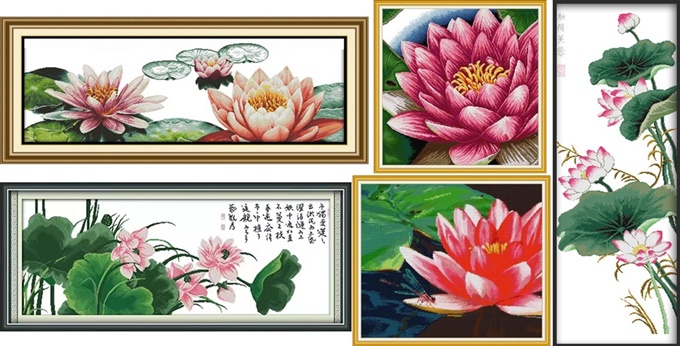 Lotus (ไม่พิมพ์/พิมพ์ลาย)
