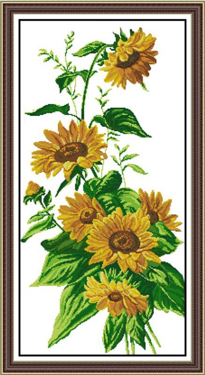 Sunflower (ไม่พิมพ์/พิมพ์ลาย)
