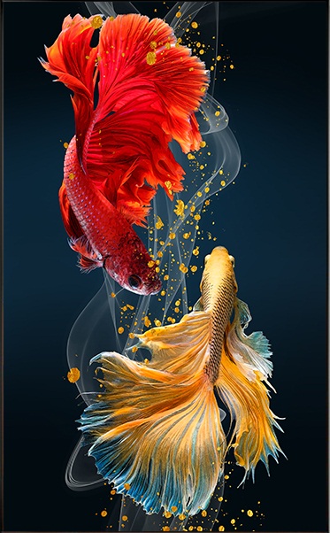 Beautiful fish (พิมพ์ลาย)