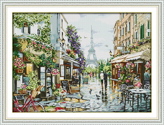 Paris street (พิมพ์ลาย)