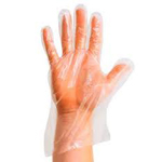 ถุงมือพลาสติกใส(อเนกประสงค์) ใช้แล้วทิ้ง(แพ็คละ 12 ห่อ,ห่อละ 24 ชิ้น) ขายยกกล่อง