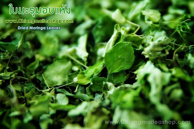 ใบมะรุมอบแห้ง (Dried Moringa Leaves) 1 Kg