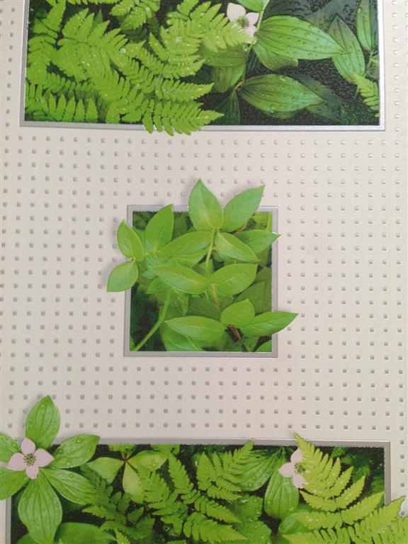 วอลเปเอร์ห้องครัว ห้องอาหาร