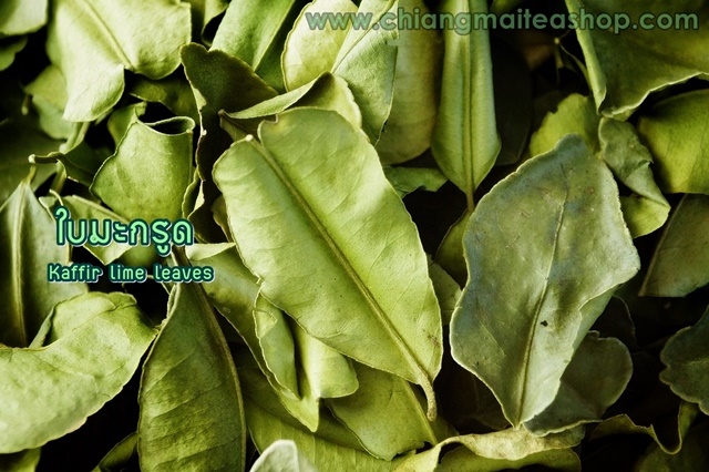 ใบมะกรูด (Kaffir lime leaves) 1Kg.