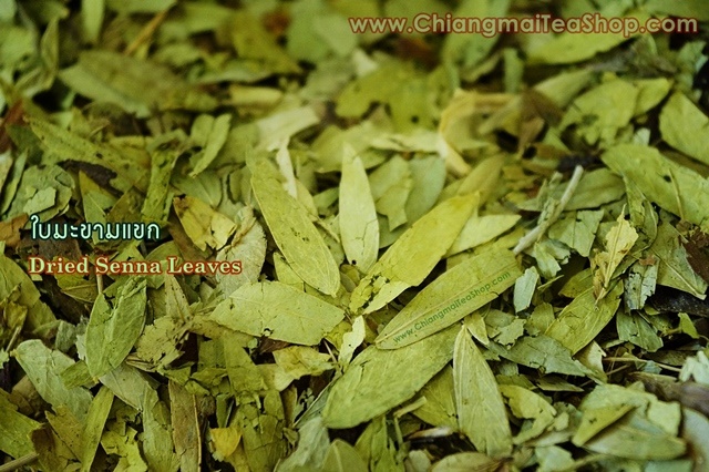 ใบมะขามแขก (Senna Leaves) 1Kg.