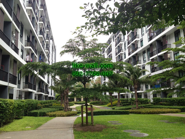 ติดผลงานวอลเปเปอร์ที่ ไอคอนโด สุขุมวิท 105