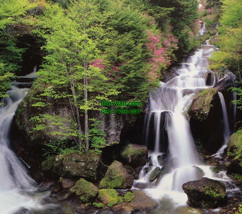 วอลเปเปอร์ติดผนัง ลาย Nikko City