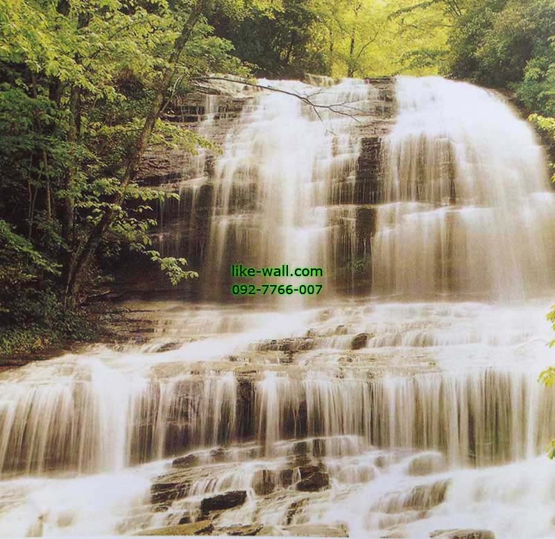 วอลเปเปอร์ติดผนัง ลาย Pearsons Fall