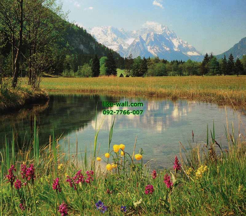 วอลเปเปอร์ติดผนัง ลาย Autumn Pond