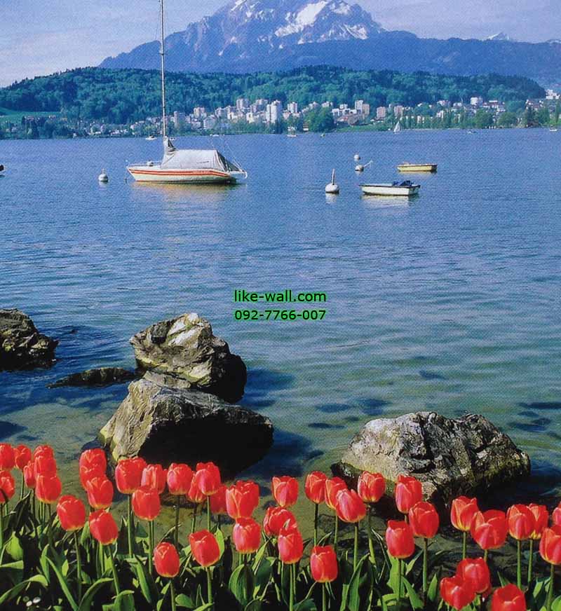 วอลเปเปอร์ติดผนัง ลาย Lake of Luccerne