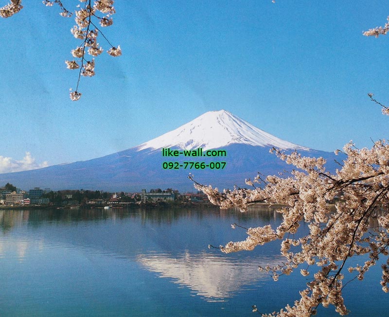 วอลเปเปอร์ติดผนัง ลาย Mt. Fuji