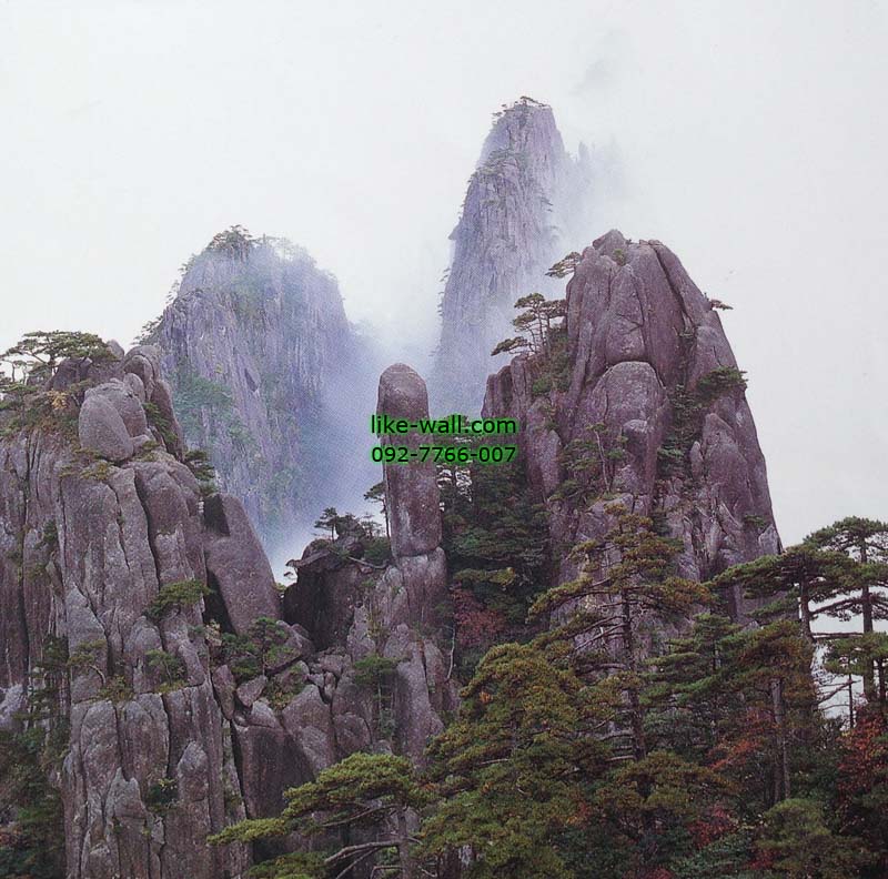วอลเปเปอร์ติดผนัง ลาย Foggy Mt. Huangshan