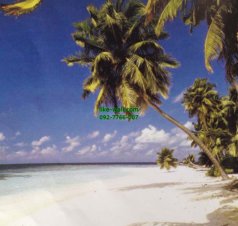 วอลเปเปอร์ติดผนัง ลาย Endless white Sands
