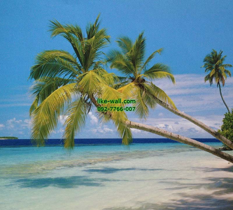 วอลเปเปอร์ติดผนัง ลาย Tropical Beach