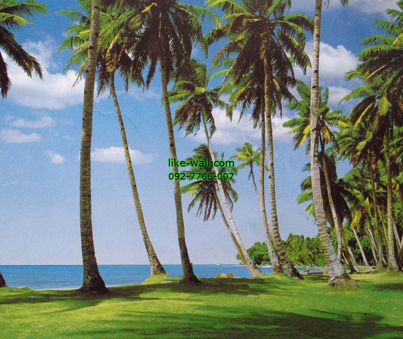 วอลเปเปอร์ติดผนัง ลาย Whispers in Green Palm