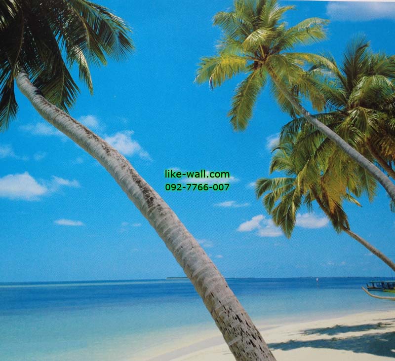 วอลเปเปอร์ติดผนัง ลาย Yikiki beach