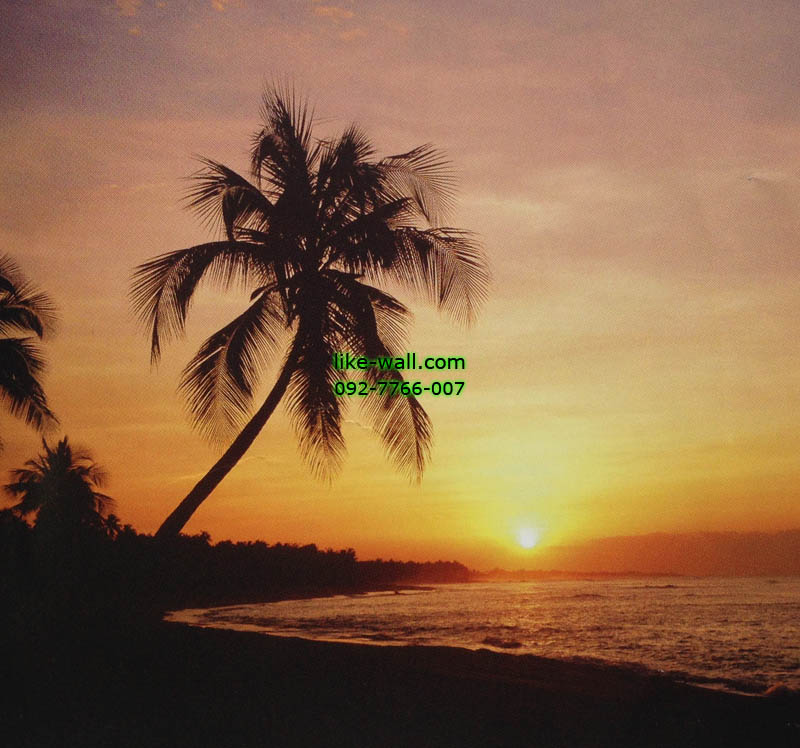 วอลเปเปอร์ติดผนัง ลาย Key West