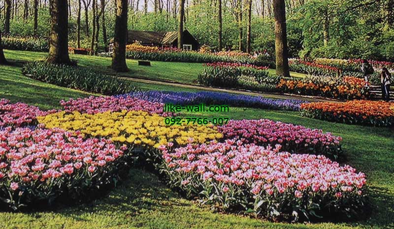 วอลเปเปอร์ติดผนัง ลาย Tulips Spot