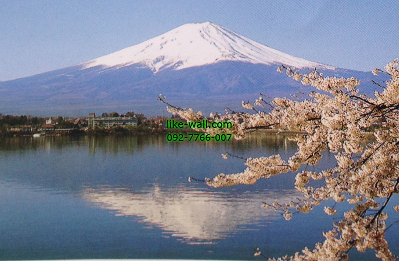 วอลเปเปอร์ติดผนัง ลาย Mt. Fuji