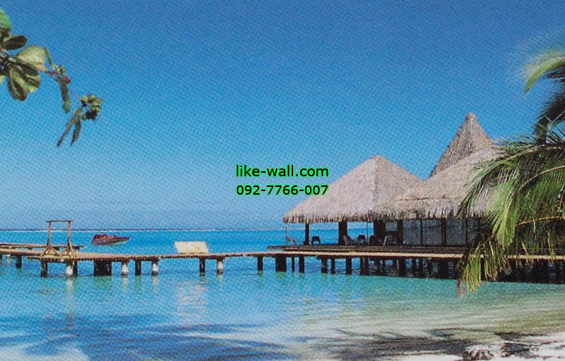 วอลเปเปอร์ติดผนัง ลาย Seahore with hut