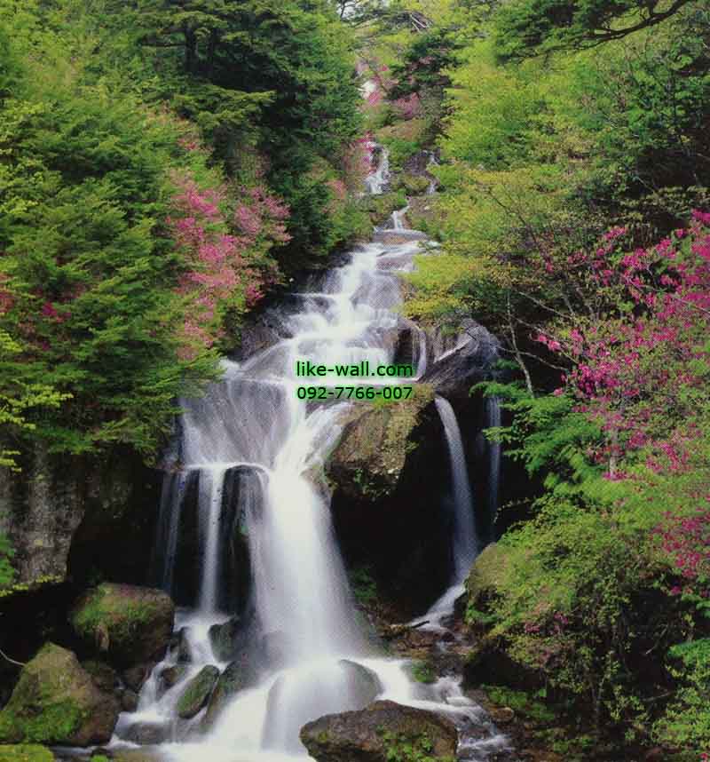 วอลเปเปอร์ติดผนัง ลาย Nikko city