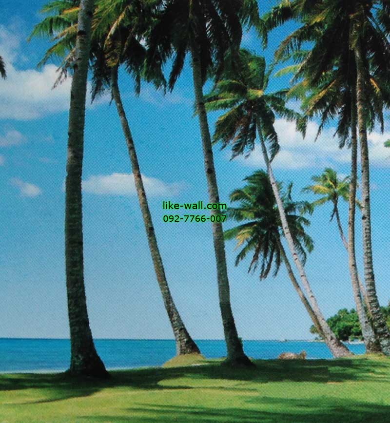 วอลเปเปอร์ติดผนัง ลาย Whispers in Green Palm