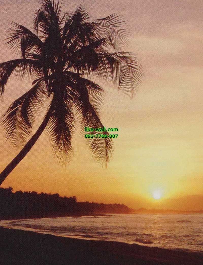 วอลเปเปอร์ติดผนัง ลาย Key West
