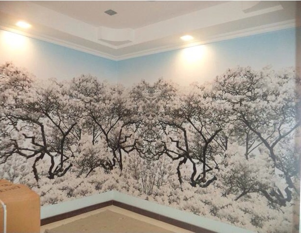 ภาพวิว ฉากในละครหลายเรื่อง ภาพนิวยอร์ก ธรรมชาติ และอีกมากมาย