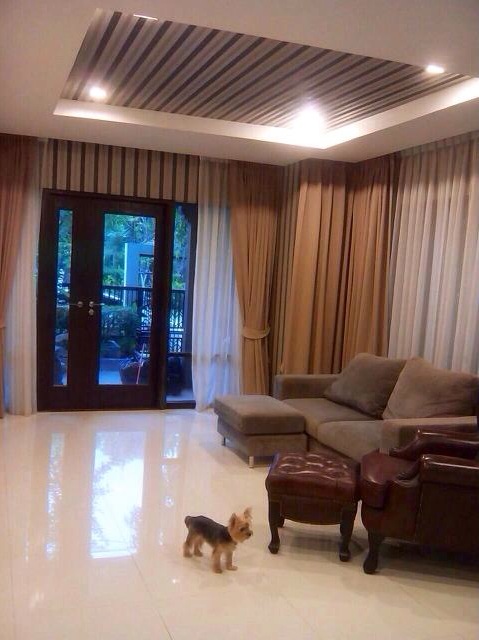 ติดวอลบ้านดารา  การันตีผลงานดีที่สุด ราคาและคุณภาพดีที่สุด  