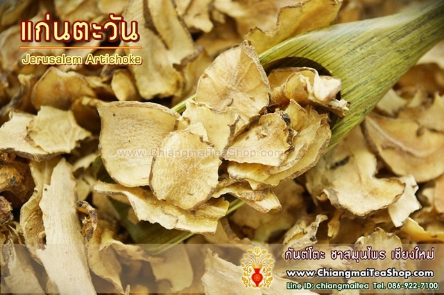 แก่นตะวัน (Jerusalem Artichoke) 1 Kg.
