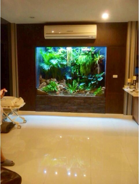 บ้านคุณกาย รัชชานนท์  คุณฮารุ ผลงานดีที่สุด  ลูกค้ามากที่สุด  ร้านวอลขายดีอันดับ1