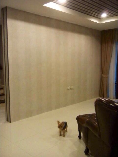 ถูกและดีมีที่นี่ คุณฮารุ คุณกาย รัชชานนท์ และดาราอีกมากมั่นใจติดวอลร้านเรา 