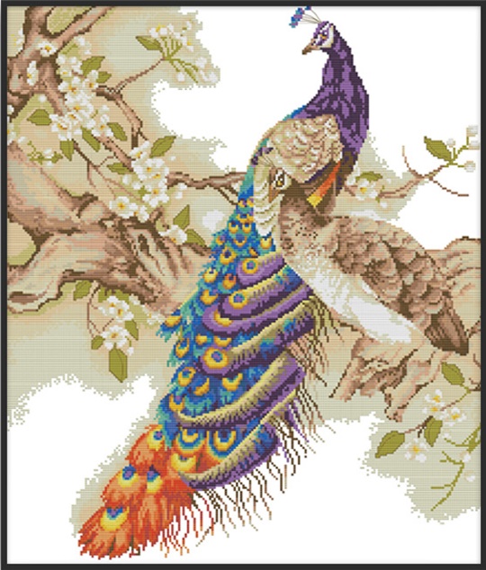 Peacock (ไม่พิมพ์/พิมพ์ลาย)