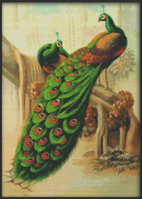 Peacock Couples (ไม่พิมพ์/พิมพ์ลาย)