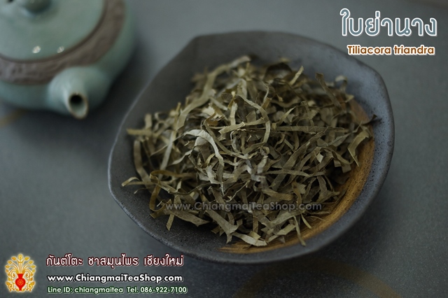 ชาสมุนไพร ใบย่านาง 1 Kg.