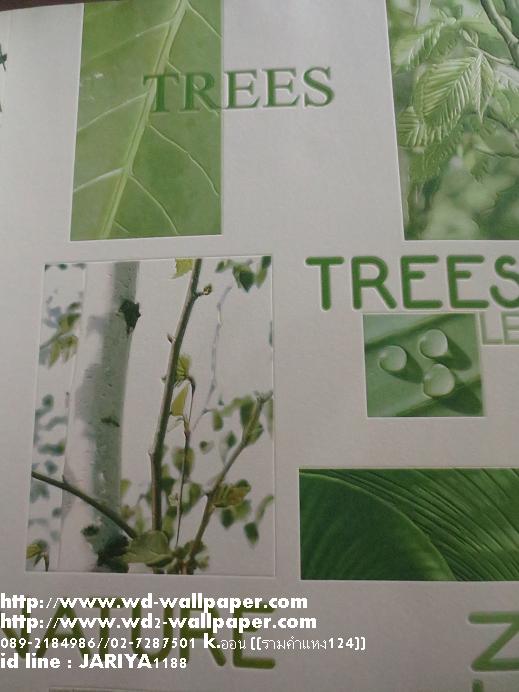 wd2 wallpaper โมเดิร์นdesign