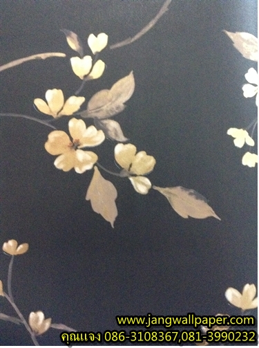 reflbctions ( พิเศษ 7 ตรม. )