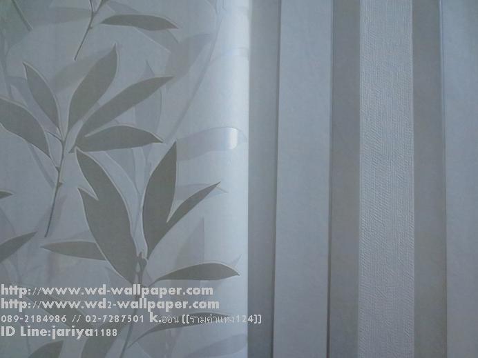 วอลเปเปอร์ติดผนัง New Modern
