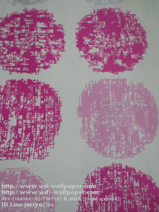 wd2 วอลเปเปอร์ติดผนังลายโมเดิร์น-พอลสมิท-กราฟฟิก