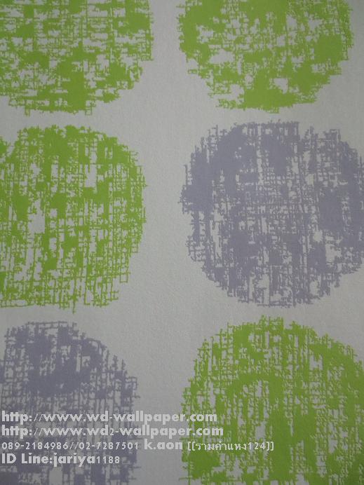 wd2 วอลเปเปอร์ติดผนังลายโมเดิร์น-พอลสมิท-กราฟฟิก