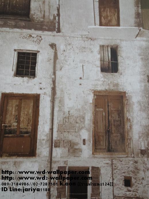 wd2 วอลเปเปอร์ติดผนังลายโมเดิร์น-พอลสมิท-กราฟฟิก