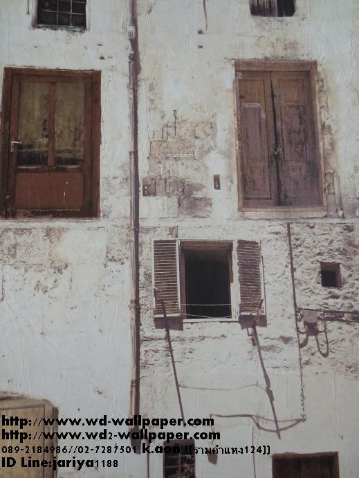 wd2 วอลเปเปอร์ติดผนังลายโมเดิร์น-พอลสมิท-กราฟฟิก