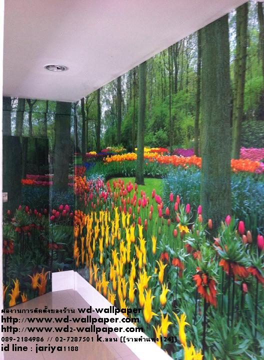 ไอเดียการแต่งบ้าน หลากหลายสไตล์ By WD-WALL
