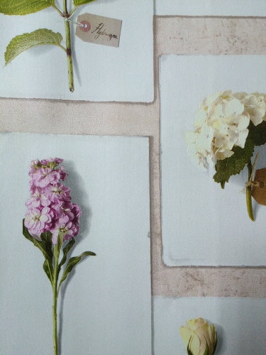 wallpaper เกาหลี