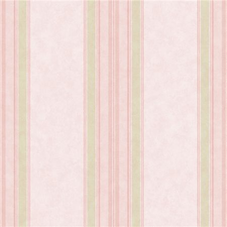 Colorful Roses