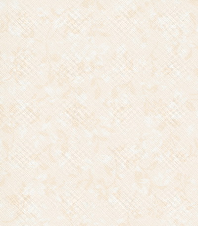 ORIGINAL ลายเรียบ