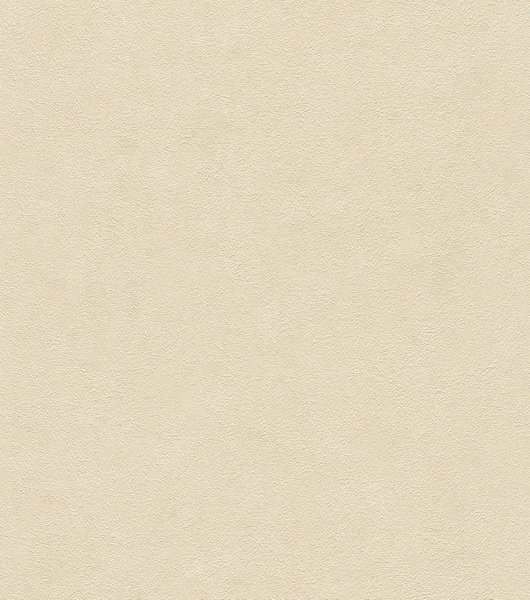 Loft ลอฟท์ 