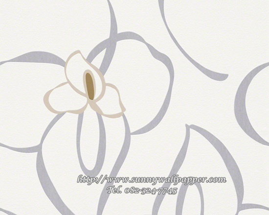 วอลเปเปอร์ติดผนังโมเดิร์น